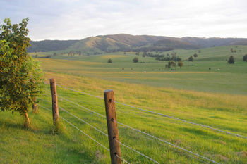 The Wattle Lodge - Phillip Island Accommodation 21