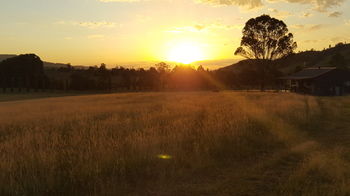 The Wattle Lodge - Phillip Island Accommodation 35