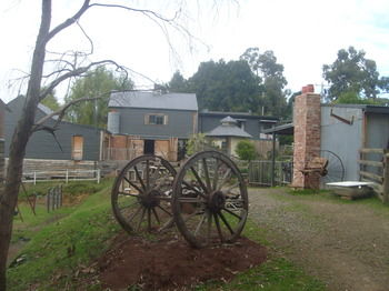 A Twist Of Willow - Phillip Island Accommodation 16