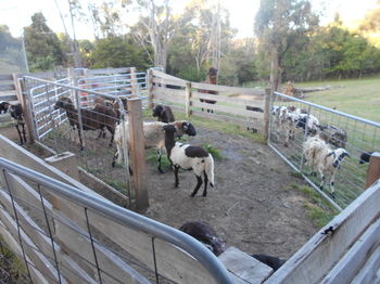 A Twist Of Willow - Phillip Island Accommodation 27