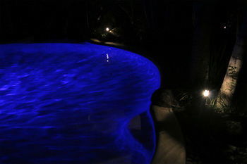 Alaya Escape - Phillip Island Accommodation 34