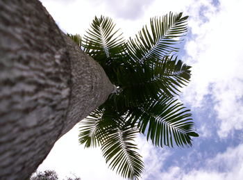 Alaya Escape - Phillip Island Accommodation 39