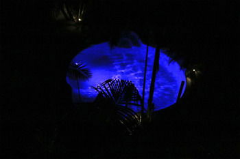 Alaya Escape - Phillip Island Accommodation 44