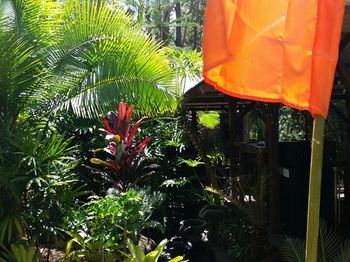 Alaya Escape - Phillip Island Accommodation 53