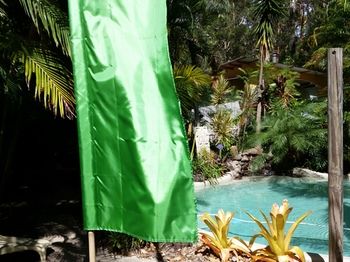 Alaya Escape - Phillip Island Accommodation 54