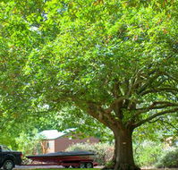 Lakes and Craters Holiday Park - Phillip Island Accommodation