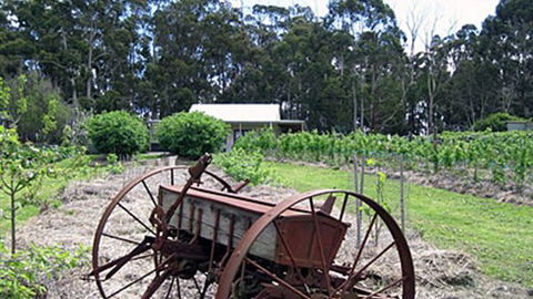 Pennyroyal Raspberry Farm & Cidery - Phillip Island Accommodation 2