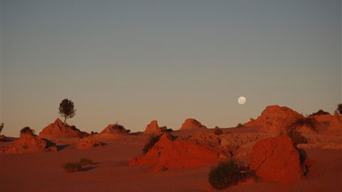 Mungo Lodge - Phillip Island Accommodation 6