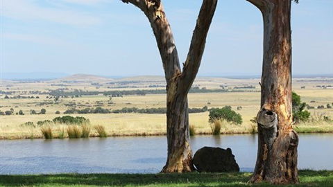 Tuki Trout Farm And Retreat - Phillip Island Accommodation 3