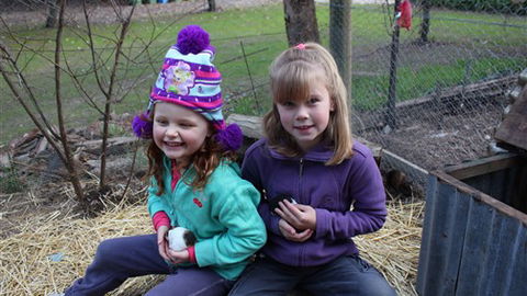 Fernleigh Farmstay & Bike Park - Phillip Island Accommodation 4