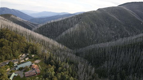 Howmans Gap Alpine Centre, YMCA - Phillip Island Accommodation 0