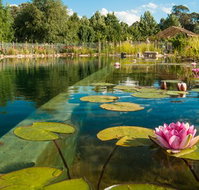 Planetrees Estate  - Phillip Island Accommodation