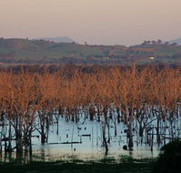 Salisbury - Phillip Island Accommodation