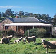 Amanda Stichbury Cottage - Phillip Island Accommodation