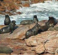 Yondah Beach House - Phillip Island Accommodation