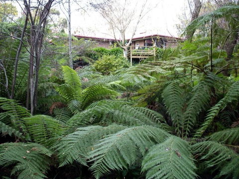 Adelaide Hills Bed & Breakfast Accommodation - Phillip Island Accommodation 3