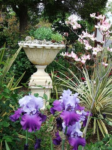 Admurraya House - Phillip Island Accommodation 2