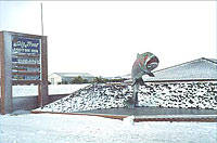 Big Trout Motor Inn - Phillip Island Accommodation 1