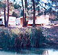 Burra Caravan and Camping Park - Phillip Island Accommodation