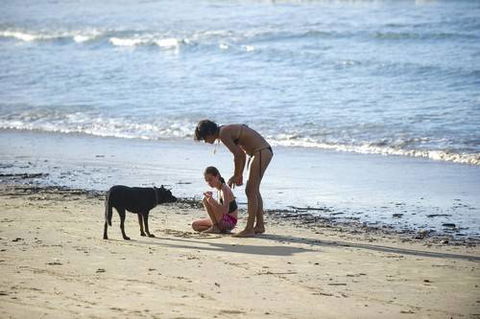 North Coast Holiday Parks Scotts Head - Phillip Island Accommodation 2