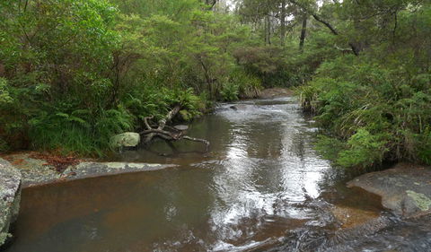 Chaelundi Campground - Phillip Island Accommodation 1