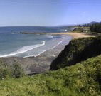 Coledale Beach Camping Reserve - Phillip Island Accommodation