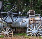 Dingo Tops campground - Phillip Island Accommodation