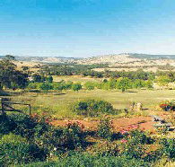 Pecan Hill Bed and Breakfast - Phillip Island Accommodation