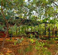 Arnhemland Barramundi Nature Lodge - Phillip Island Accommodation