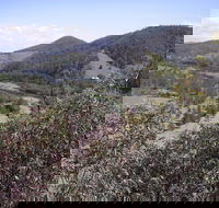 Blackbird Flat Camping Ground - Phillip Island Accommodation