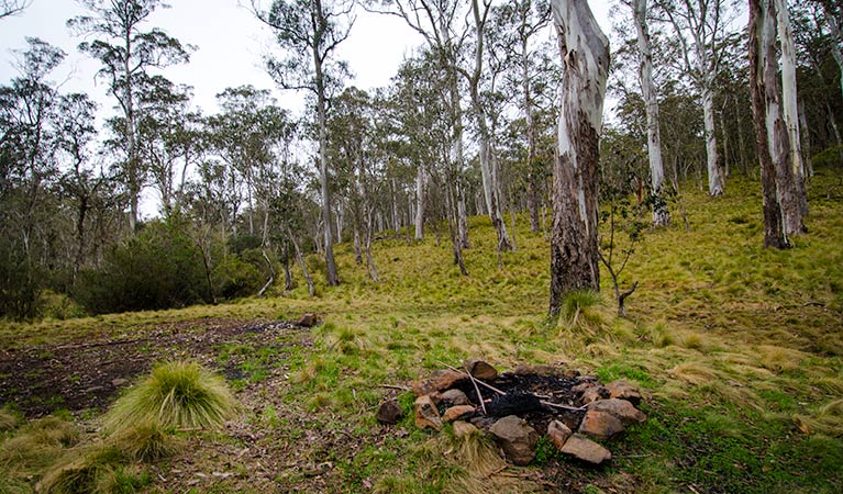 Tomalla NSW Phillip Island Accommodation