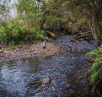 Horse Swamp campground - Phillip Island Accommodation