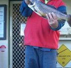 Rainbow Pines Tourist Caravan Park - Phillip Island Accommodation