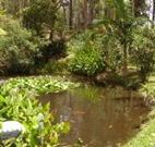 Tallowood Ridge B and B - Phillip Island Accommodation