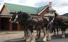 Araluen Valley Hotel - Araluen - Phillip Island Accommodation 0