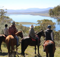 Reynella Homestead and Horseback Rides - Phillip Island Accommodation