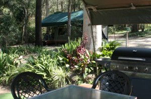 Tamborine Mountain Caravan & Camping - Phillip Island Accommodation 2