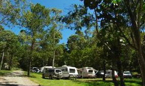 Tamborine Mountain Caravan & Camping - Phillip Island Accommodation 3