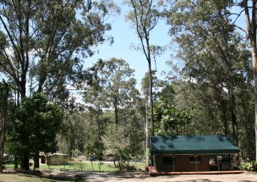 Tamborine Mountain Caravan & Camping - Phillip Island Accommodation 4