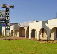 Citrus Motel - Phillip Island Accommodation