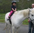 Mansfield Cottage Barrington Tops Accommodation - Phillip Island Accommodation