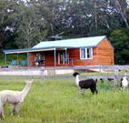 Moorallie Cottage Farm Stay - Phillip Island Accommodation