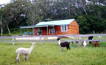 Moorallie Cottage Farm Stay - Phillip Island Accommodation 0