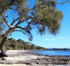 David Jones Cottage - Phillip Island Accommodation