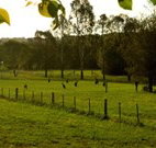Stone Cottage Mittagong - Phillip Island Accommodation