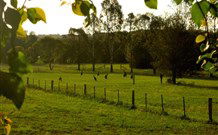 Stone Cottage Mittagong - Phillip Island Accommodation 0