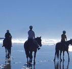 The Hayloft - Phillip Island Accommodation