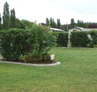 Wheatfield Cottage - Phillip Island Accommodation