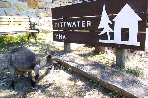 Sydney - Pittwater YHA - Phillip Island Accommodation 9