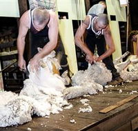 The Woolshed at Jondaryan Caravan and Camping - Phillip Island Accommodation